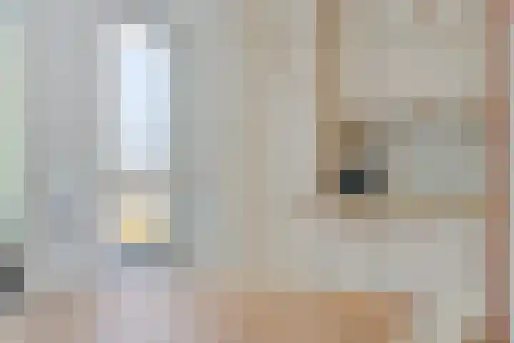 Prof. Eykmanlaan 27 Hoensbroek thumbnail 11