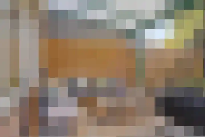 Prof. Eykmanlaan 27 Hoensbroek thumbnail 25