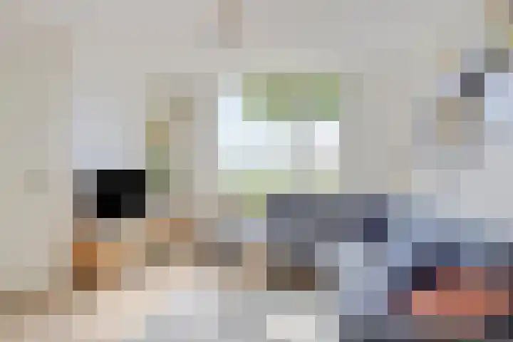 Prof. Eykmanlaan 27 Hoensbroek thumbnail 6