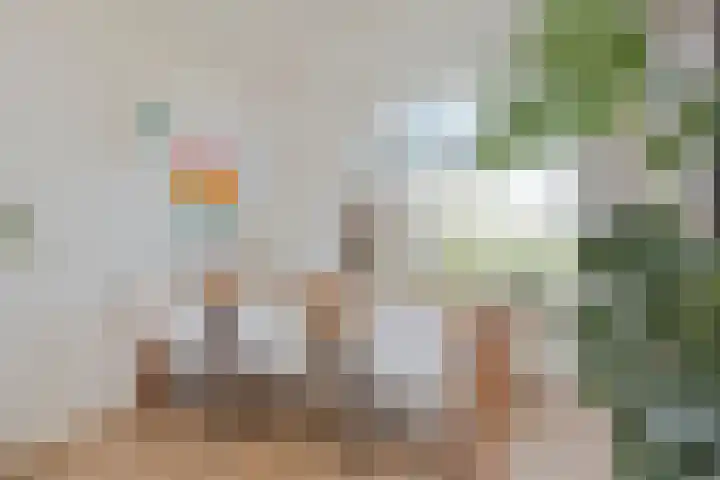 Prof. Eykmanlaan 27 Hoensbroek thumbnail 9