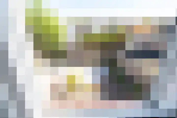 Prof. Eykmanlaan 41 Hoensbroek thumbnail 27