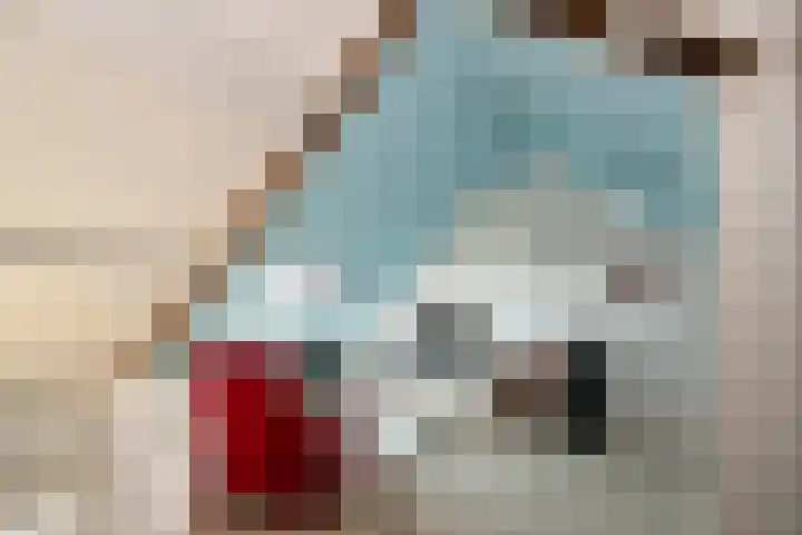 Prof. Eykmanlaan 41 Hoensbroek thumbnail 30