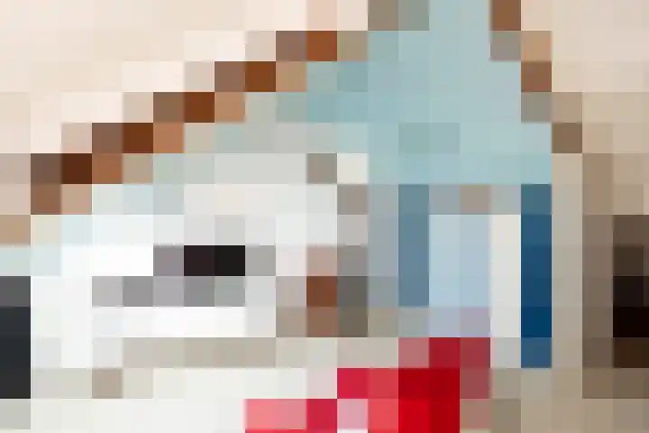 Prof. Eykmanlaan 41 Hoensbroek thumbnail 31