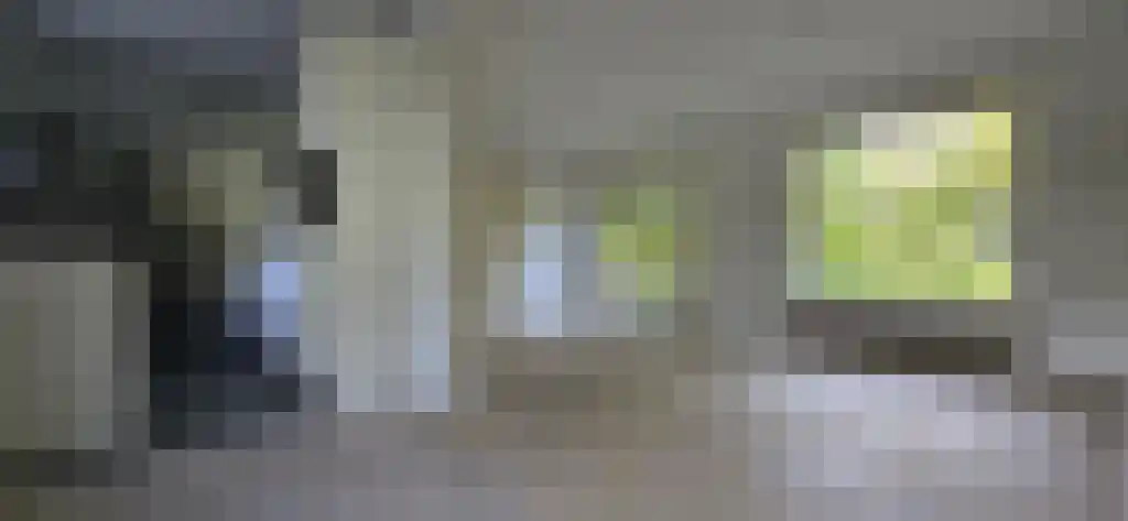 Prof. Feldmannweg 2 Zwolle thumbnail 6