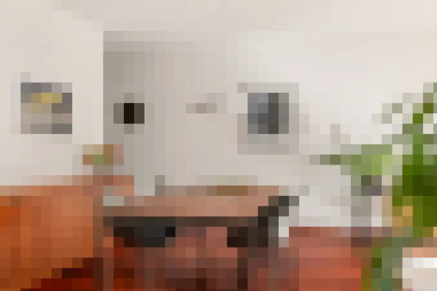 Prof. Fischerlaan 12 Utrecht thumbnail 18