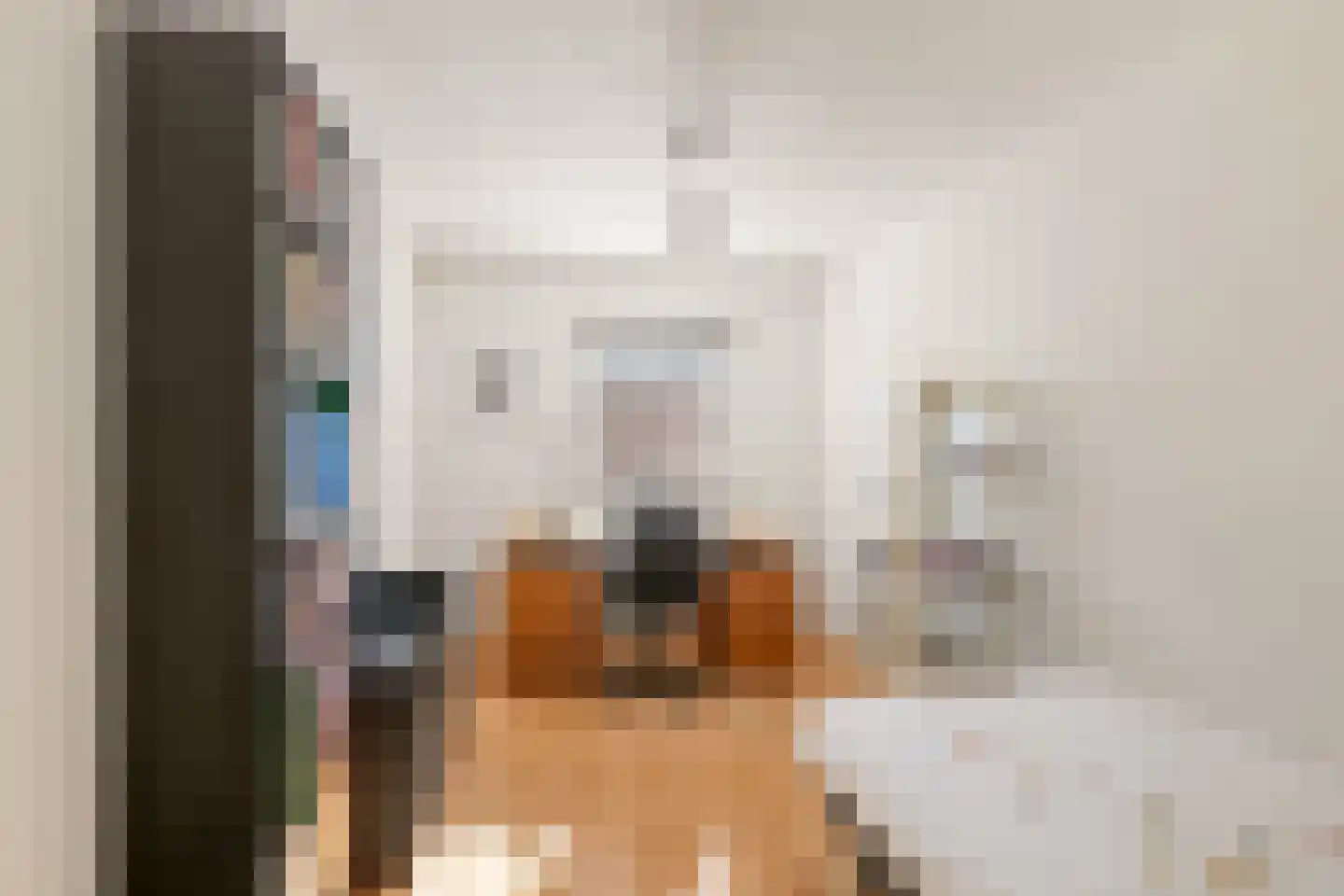 Prof. Fischerlaan 12 Utrecht thumbnail 28
