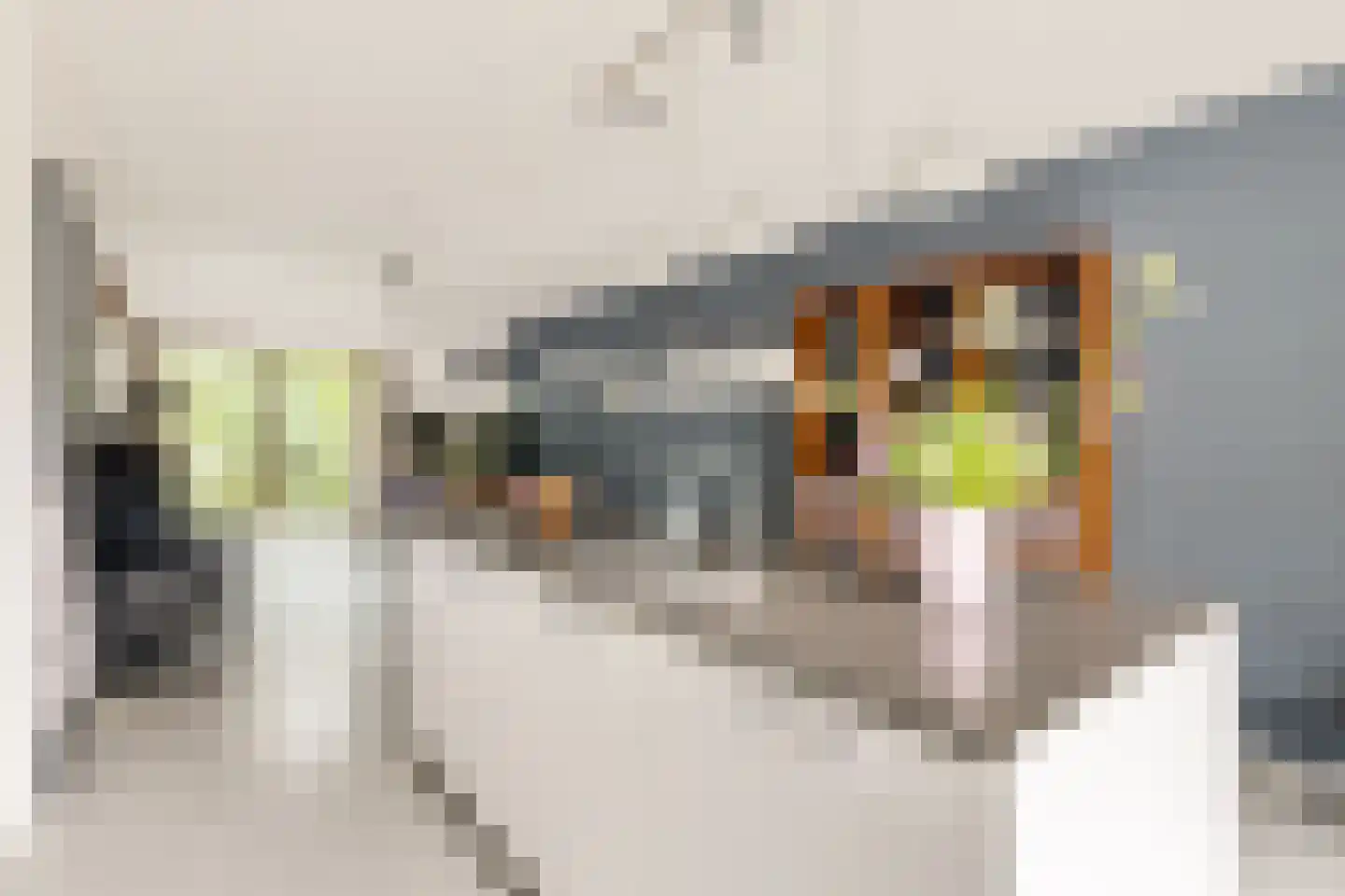 Prof. Fischerlaan 9 Utrecht thumbnail 10