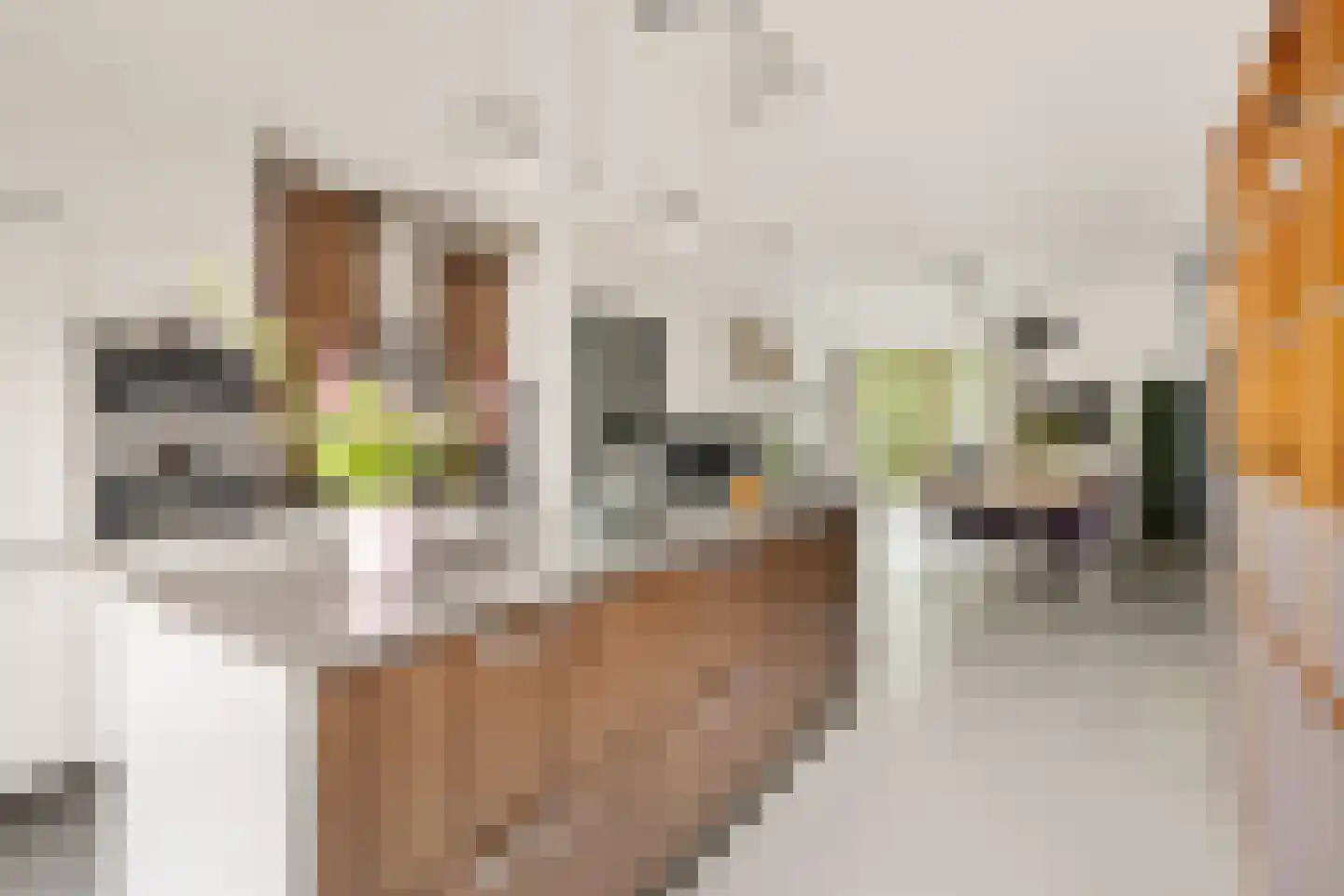 Prof. Fischerlaan 9 Utrecht thumbnail 11