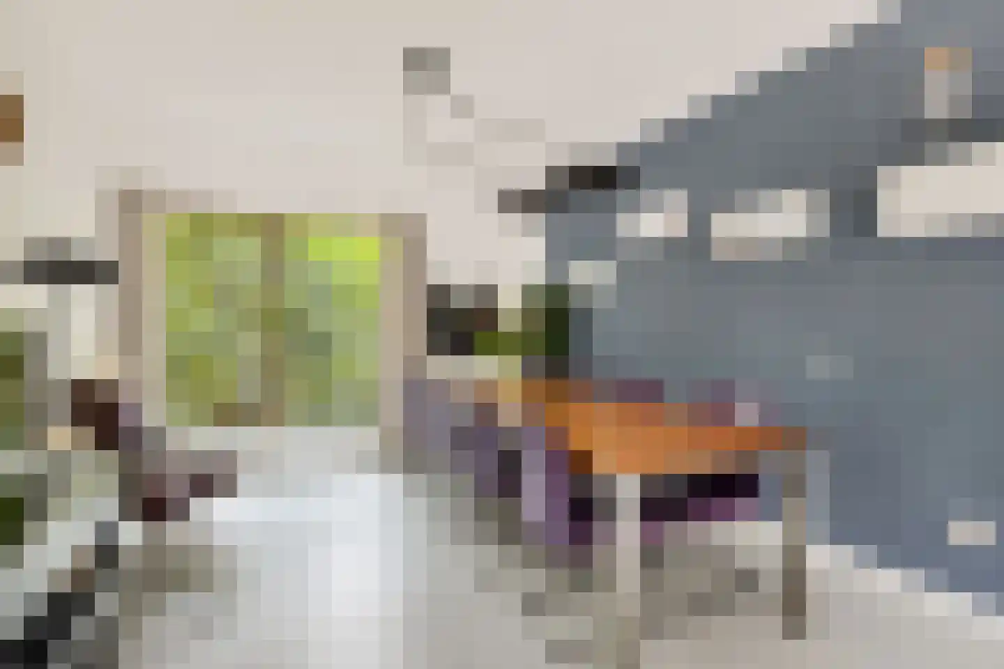 Prof. Fischerlaan 9 Utrecht thumbnail 12
