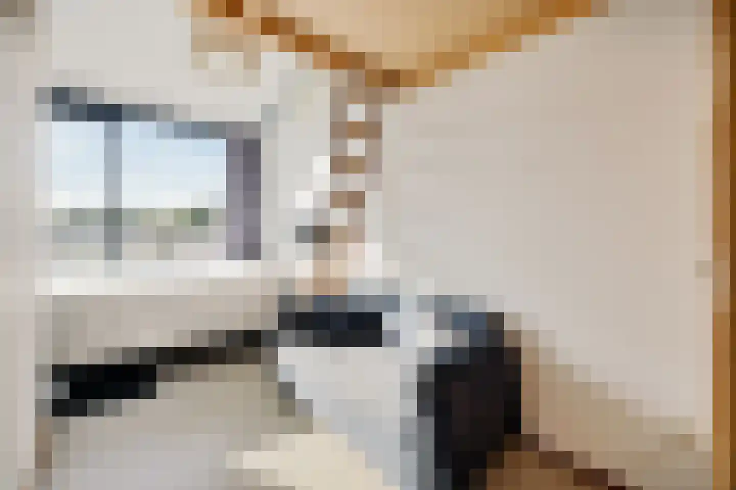 Prof. Fischerlaan 9 Utrecht thumbnail 27