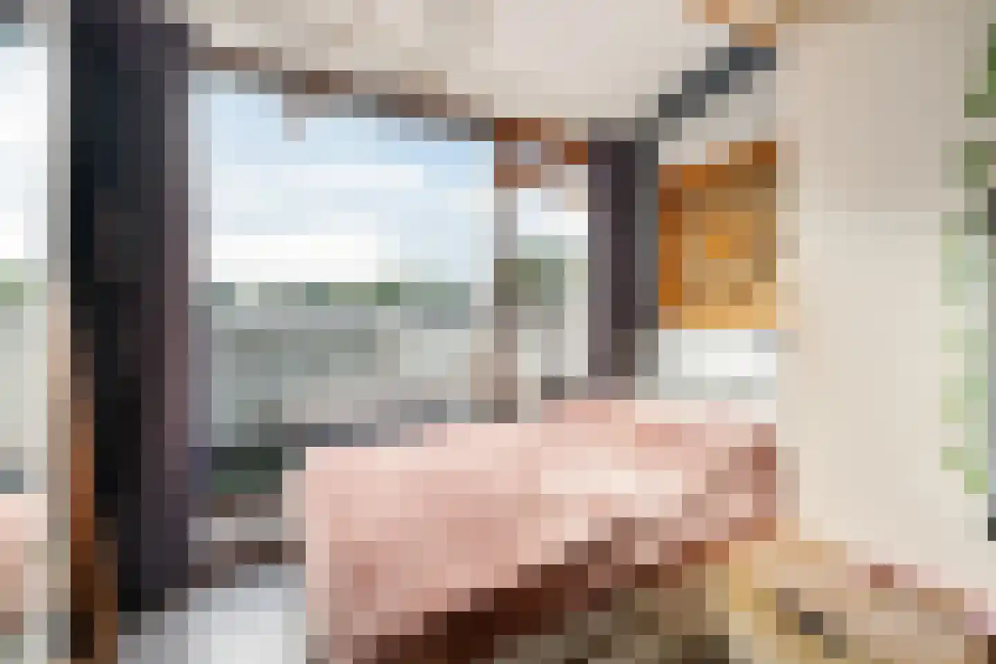 Prof. Fischerlaan 9 Utrecht thumbnail 31