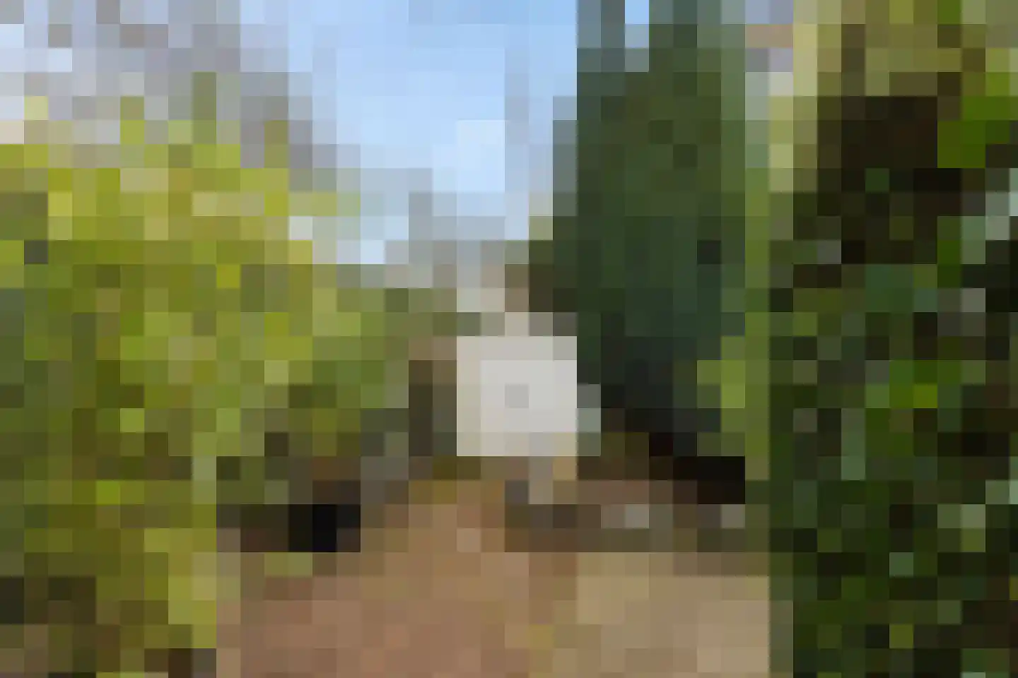 Prof. Fockema Andreaelaan 388 Baarn thumbnail 23