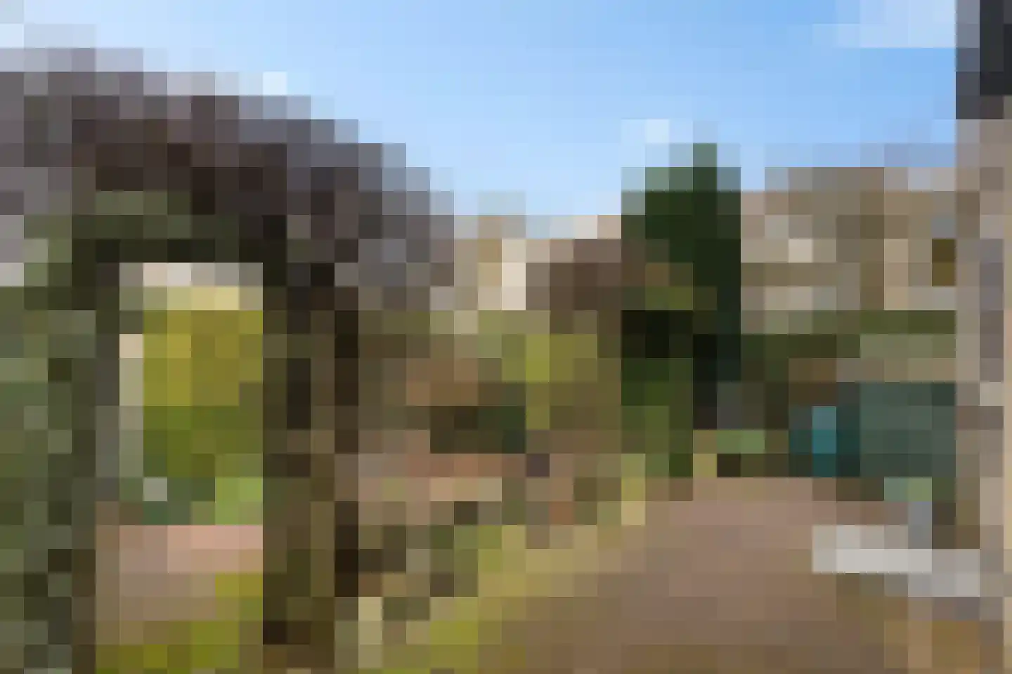 Prof. Fockema Andreaelaan 388 Baarn thumbnail 24