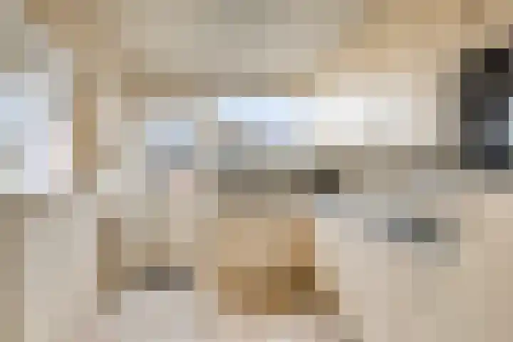 Prof. Gerbrandylaan 13 Woerden thumbnail 11