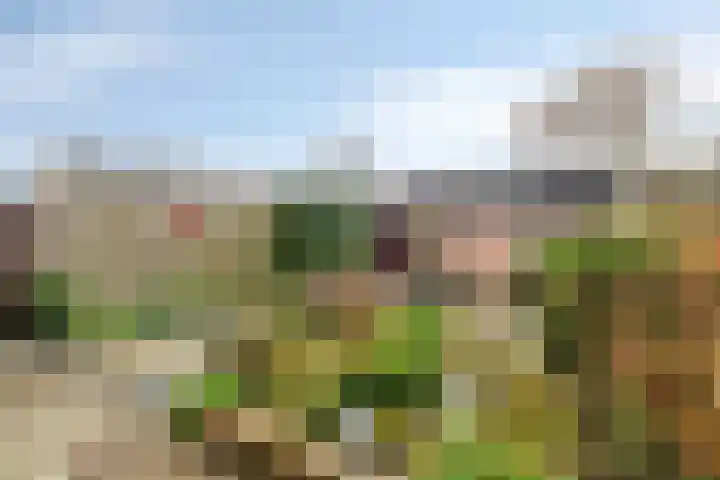 Prof. Gerbrandylaan 13 Woerden thumbnail 26