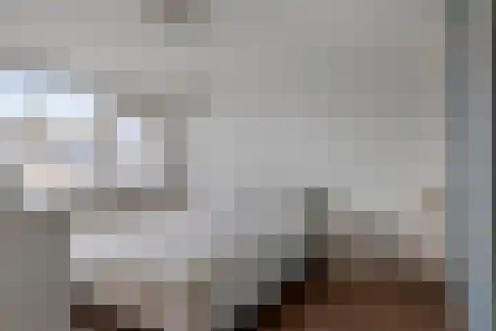 Prof Gerbrandyplein 8 Geervliet thumbnail 14