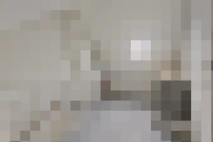 Prof Gerbrandyplein 8 Geervliet thumbnail 22