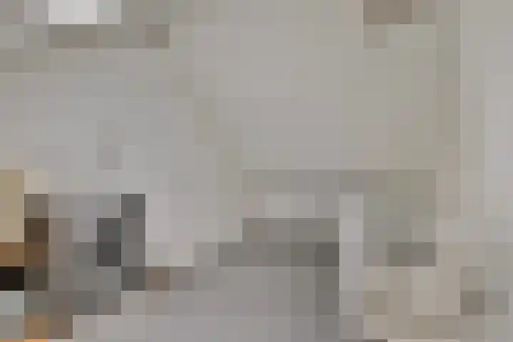 Prof Gerbrandyplein 8 Geervliet thumbnail 23