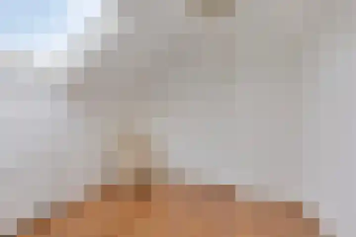 Prof Gerbrandyplein 8 Geervliet thumbnail 24
