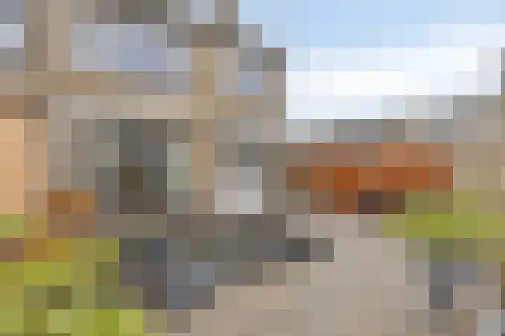 Prof Gerbrandyplein 8 Geervliet thumbnail 26
