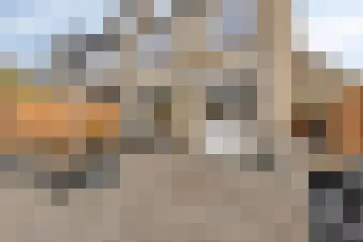 Prof Gerbrandyplein 8 Geervliet thumbnail 27