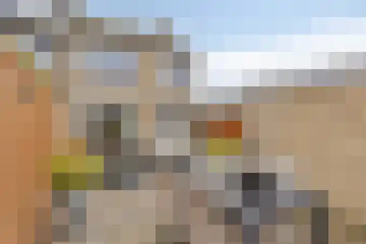 Prof Gerbrandyplein 8 Geervliet thumbnail 28