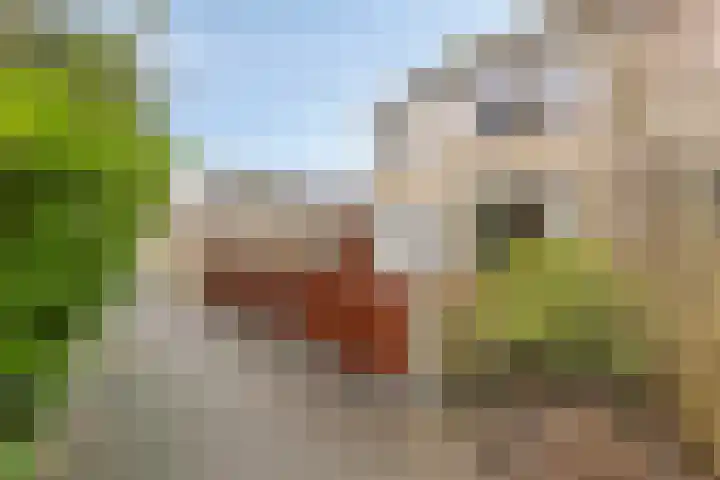 Prof Gerbrandyplein 8 Geervliet thumbnail 33