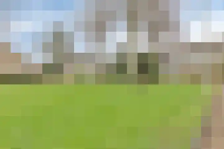 Prof Gerbrandyplein 8 Geervliet thumbnail 35