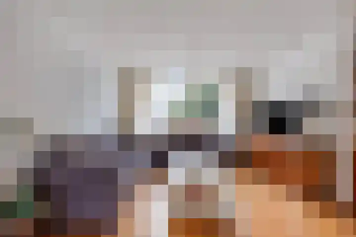 Prof Gerbrandyplein 8 Geervliet thumbnail 4