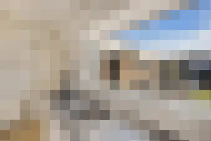 Prof. Granpré Molièrelaan 16 Emmeloord thumbnail 22