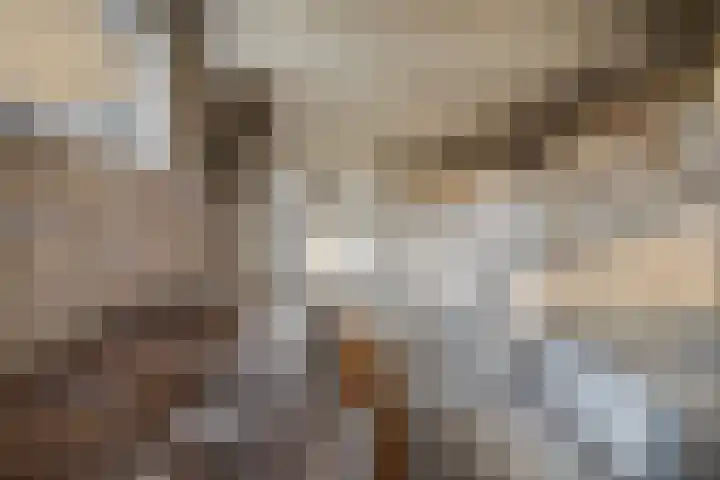Prof. Granpré Molièrelaan 16 Emmeloord thumbnail 23