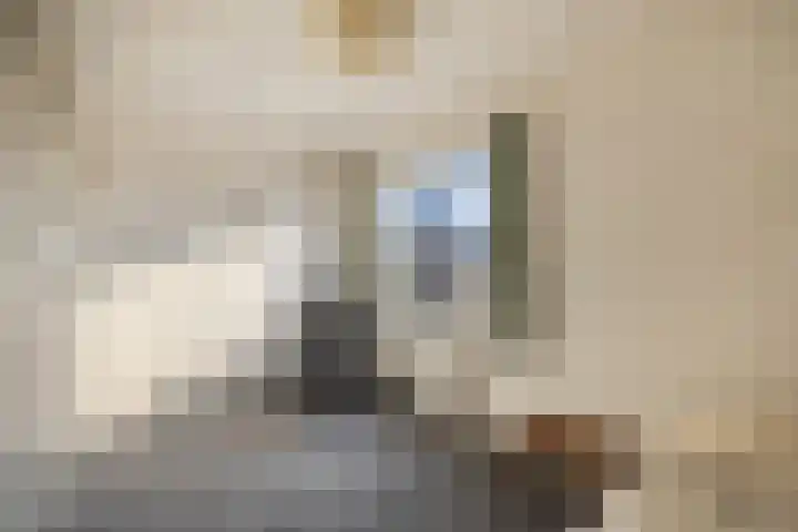 Prof. Granpré Molièrelaan 16 Emmeloord thumbnail 31