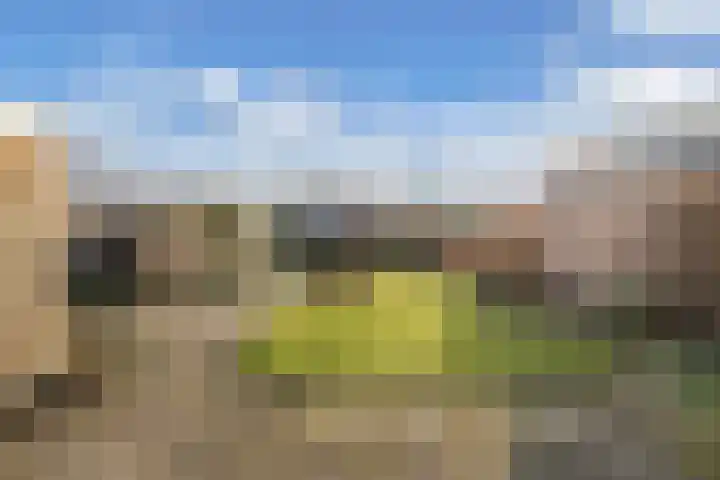 Prof. Granpré Molièrelaan 16 Emmeloord thumbnail 37