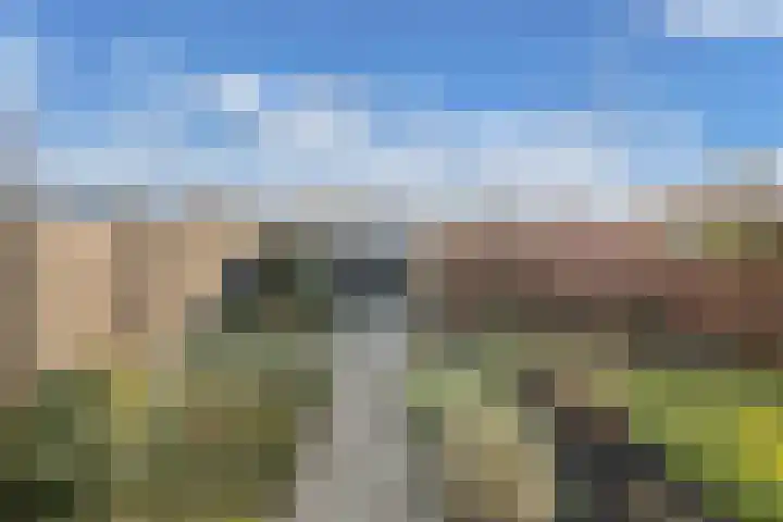 Prof. Granpré Molièrelaan 16 Emmeloord thumbnail 39
