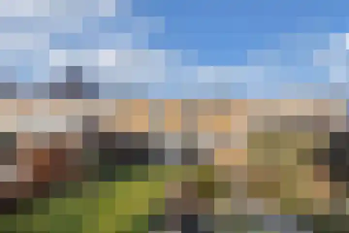 Prof. Granpré Molièrelaan 16 Emmeloord thumbnail 41