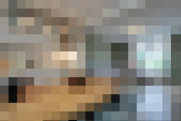 Prof. Granpré Molièrestraat 16 Wieringerwerf thumbnail 11