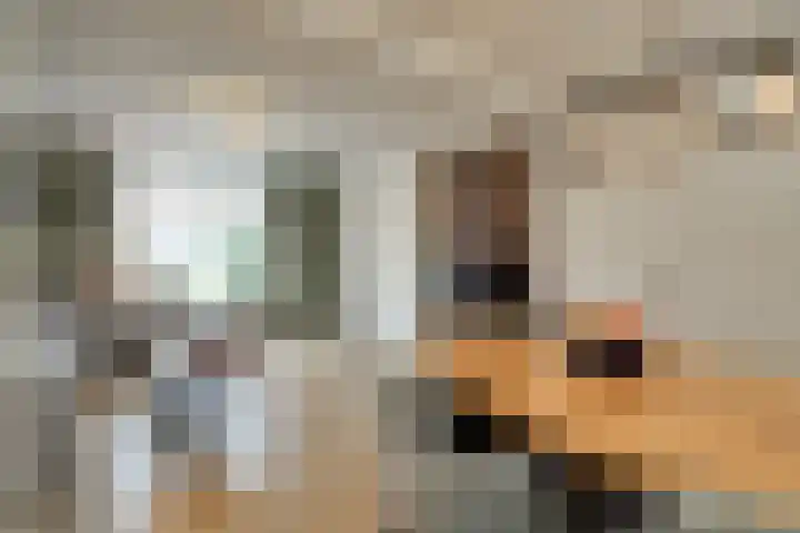 Prof. Granpré Molièrestraat 16 Wieringerwerf thumbnail 12