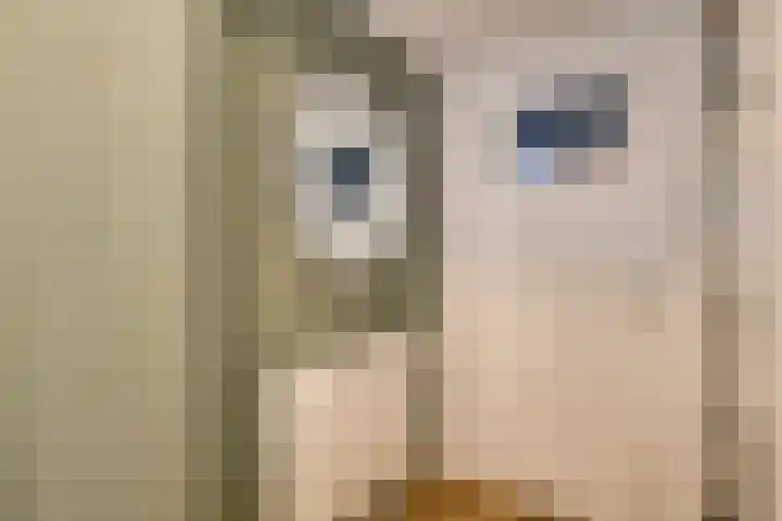 Prof. Granpré Molièrestraat 16 Wieringerwerf thumbnail 16