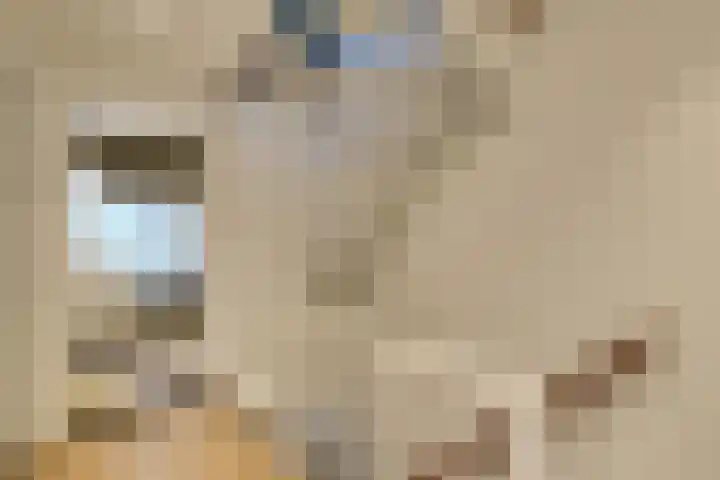Prof. Granpré Molièrestraat 16 Wieringerwerf thumbnail 19
