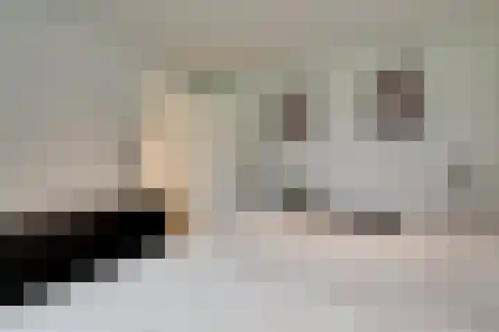 Prof. Granpré Molièrestraat 16 Wieringerwerf thumbnail 23