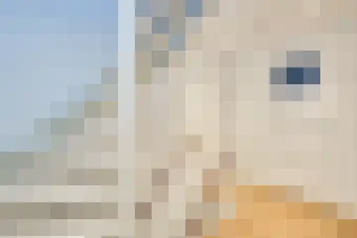 Prof. Granpré Molièrestraat 16 Wieringerwerf thumbnail 32