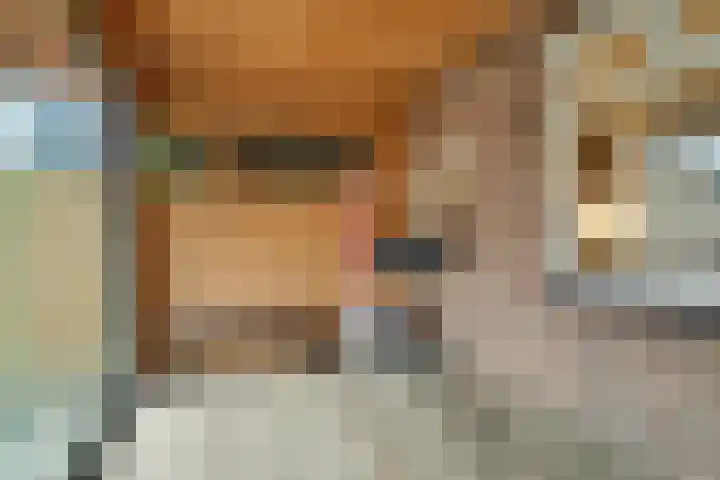 Prof. Granpré Molièrestraat 16 Wieringerwerf thumbnail 37