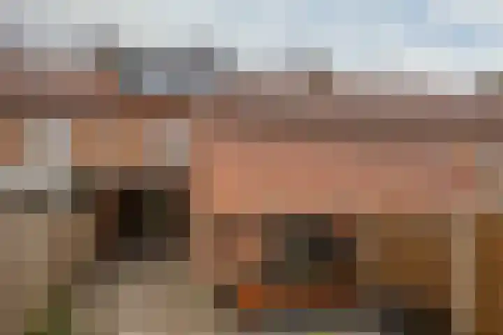 Prof. Granpré Molièrestraat 16 Wieringerwerf thumbnail 41