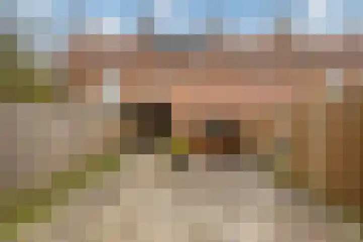 Prof. Granpré Molièrestraat 16 Wieringerwerf thumbnail 42