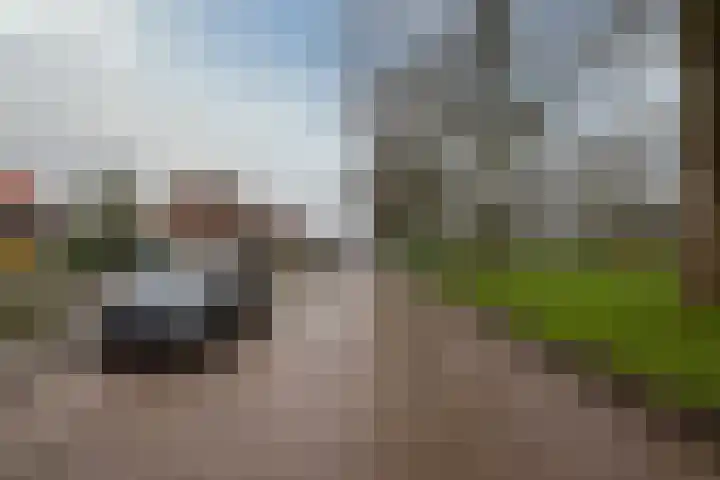 Prof. Granpré Molièrestraat 16 Wieringerwerf thumbnail 45