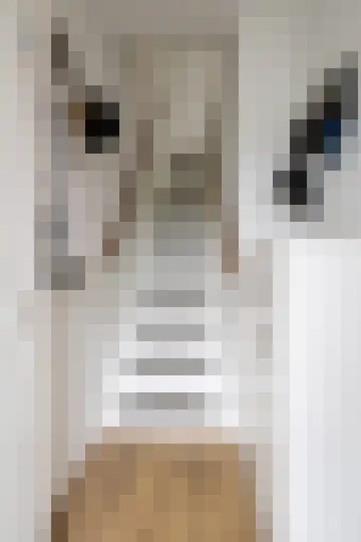 Prof. Granpré Molièrestraat 16 Wieringerwerf thumbnail 7