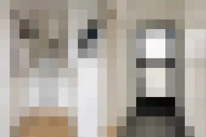 Prof. Granpré Molièrestraat 16 Wieringerwerf thumbnail 8