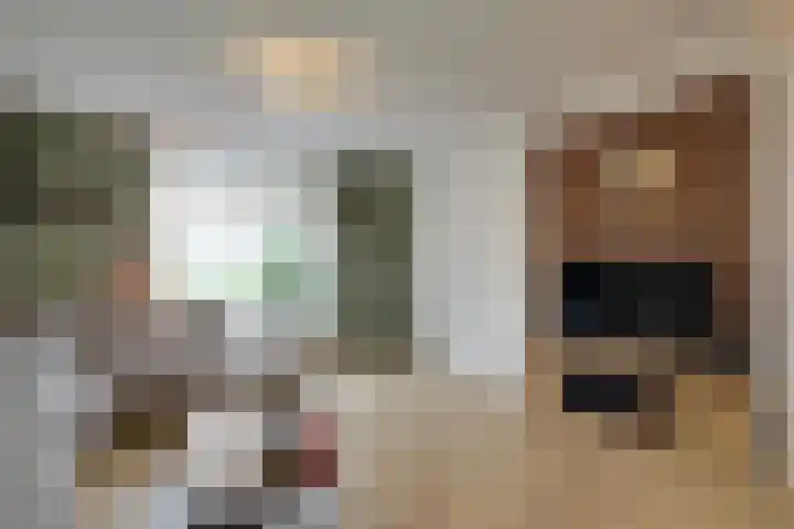 Prof. Granpré Molièrestraat 16 Wieringerwerf thumbnail 9