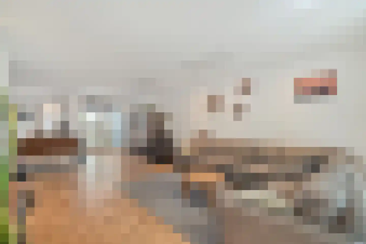 Prof. Granpré Molièrestraat 28 Wieringerwerf thumbnail 10