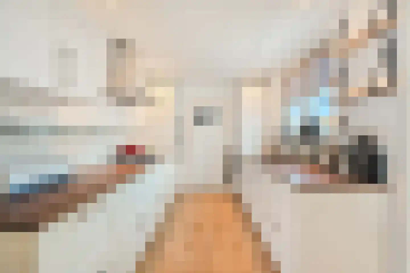 Prof. Granpré Molièrestraat 28 Wieringerwerf thumbnail 14